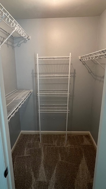 Bedroom walk-in closet. - 5714 Brentwood Trce