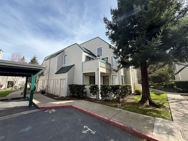 Building Photo - Spacious 1-Bedroom Condo in Quiet Hilltop ...