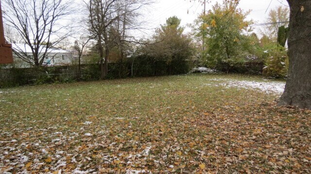 Building Photo - 1269 Falene Pl