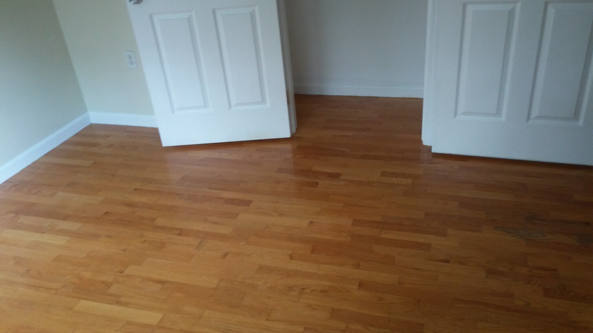 Room 2 11x11 - 286 Shaler Blvd