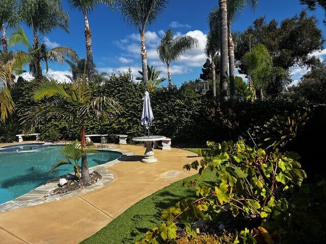 pool area - 2211 Cecelia Ter