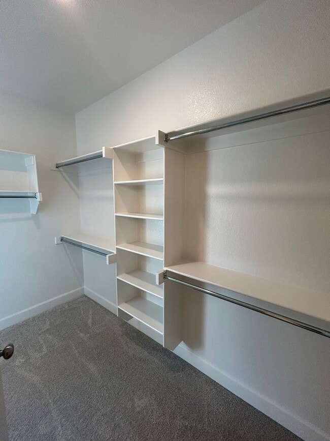 Building Photo - Brand New 4 bed 2.5 bath Modern Build in P...