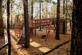 Shared Playground - 165 E White Mountain Blvd