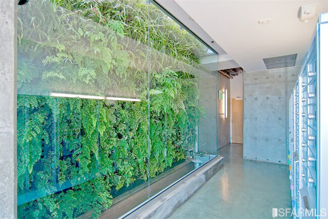 Living wall in the main entrance - 766 Harrison St