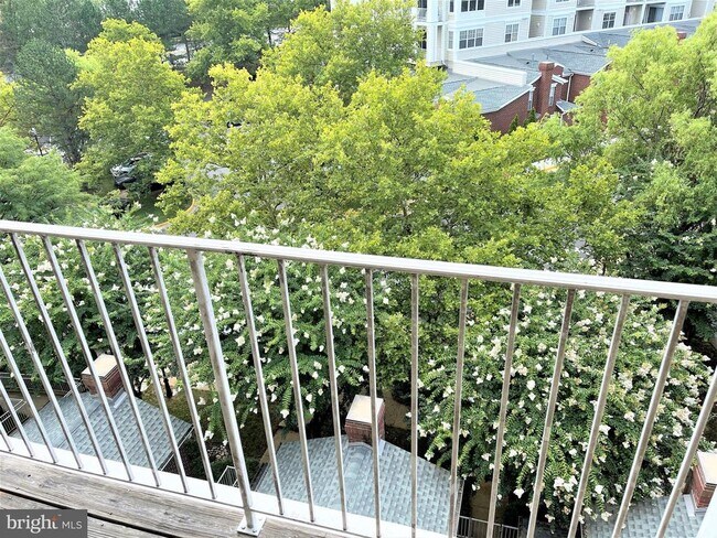 Building Photo - 1641 International Dr