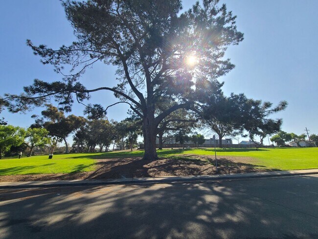 Building Photo - Spacious Ocean Beach 2 bed 1 bath just a few steps from Colliers Park.