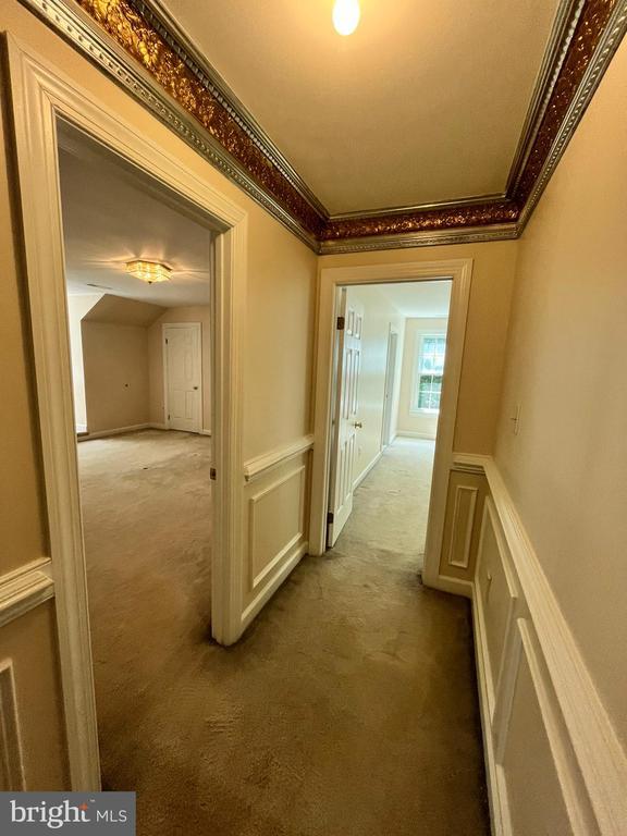 Building Photo - 7808 Hill House Ct