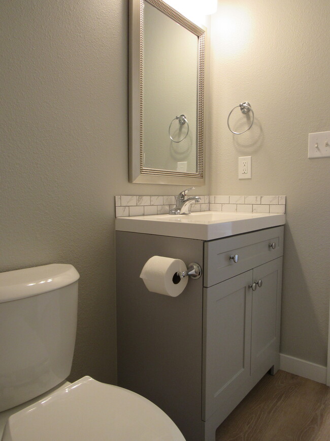 Updated Bathroom - 316 Challenger Pl