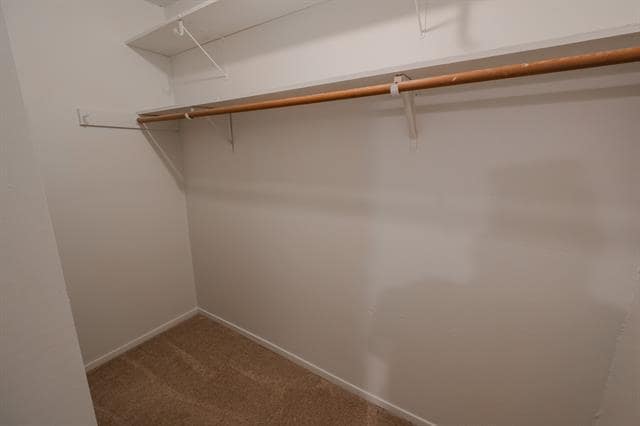 Building Photo - 1108 Delta Ct