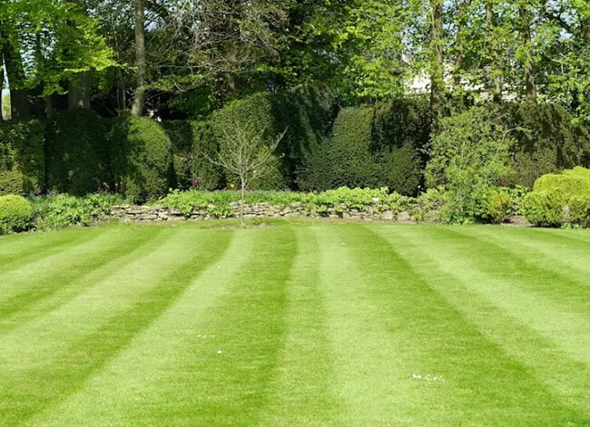 Building Photo - Oak Ridge Apartments