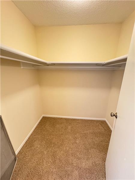 Building Photo - 79 Knollwood Cir