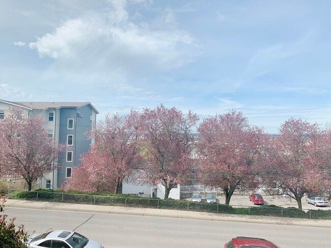 Building Photo - PRELEASING: Classic N Garden 6 bdrm/3 bath near WWU North Campus