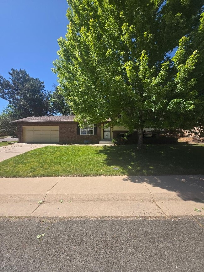 Building Photo - 6482 E Dickenson Pl