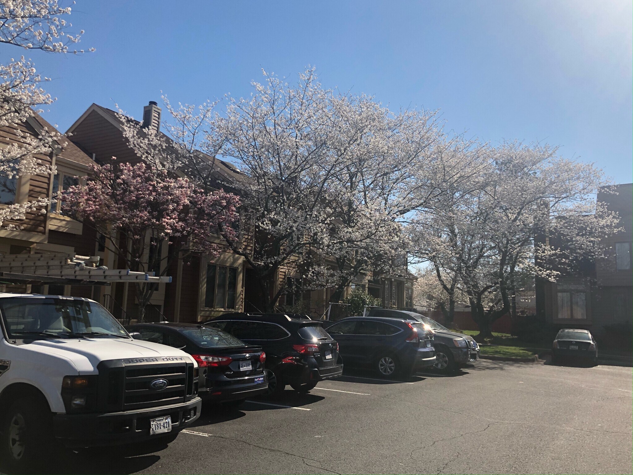 Building Photo - 1063 Nicklaus Ct