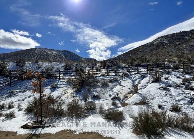 Building Photo - Beautiful Home in S. Reno!  (Rolling Hills) - Dog Friendly!!!