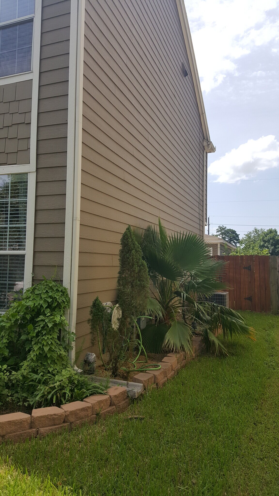 Building Photo - 2107 Rustling Trees Way