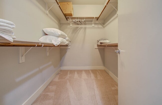 Building Photo - 509 Gregg St