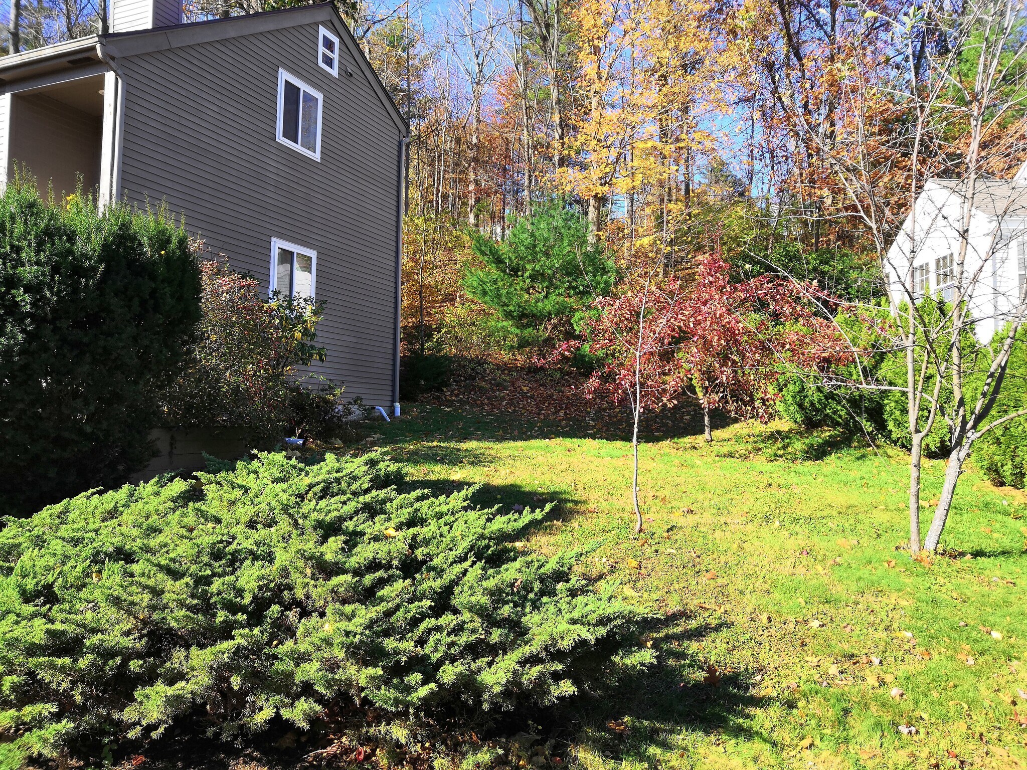 Building Photo - 1 Common Dr