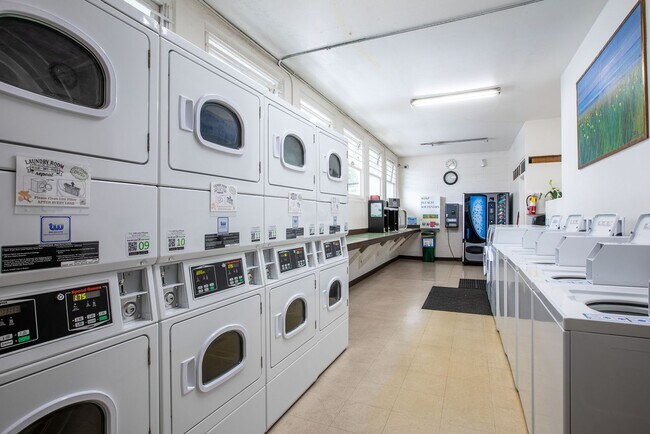 Building Photo - Fully Furnished beautiful Studio- ALL util...