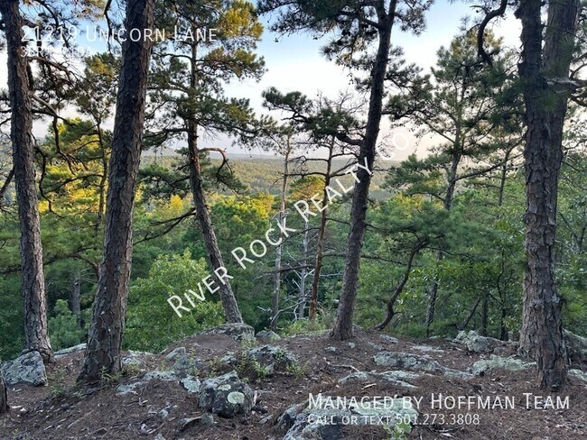 Building Photo - 21219 Unicorn Ln