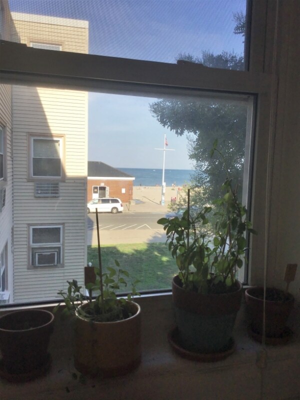 Building Photo - 71 Revere Beach Blvd