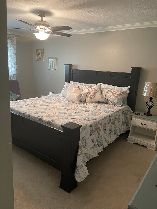 Master, echo show, Smart 45” TV - 2931 Valley Rose Dr