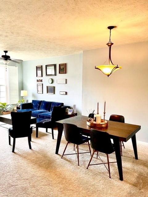 Building Photo - 418 Turner Dr