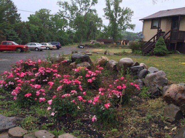 Building Photo - 138 Honness Ln