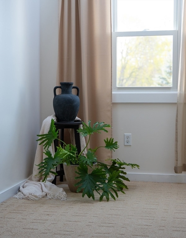 Building Photo - 82 Camelot Dr