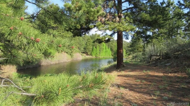 Building Photo - Mountain Log Home for Rent with views and ...