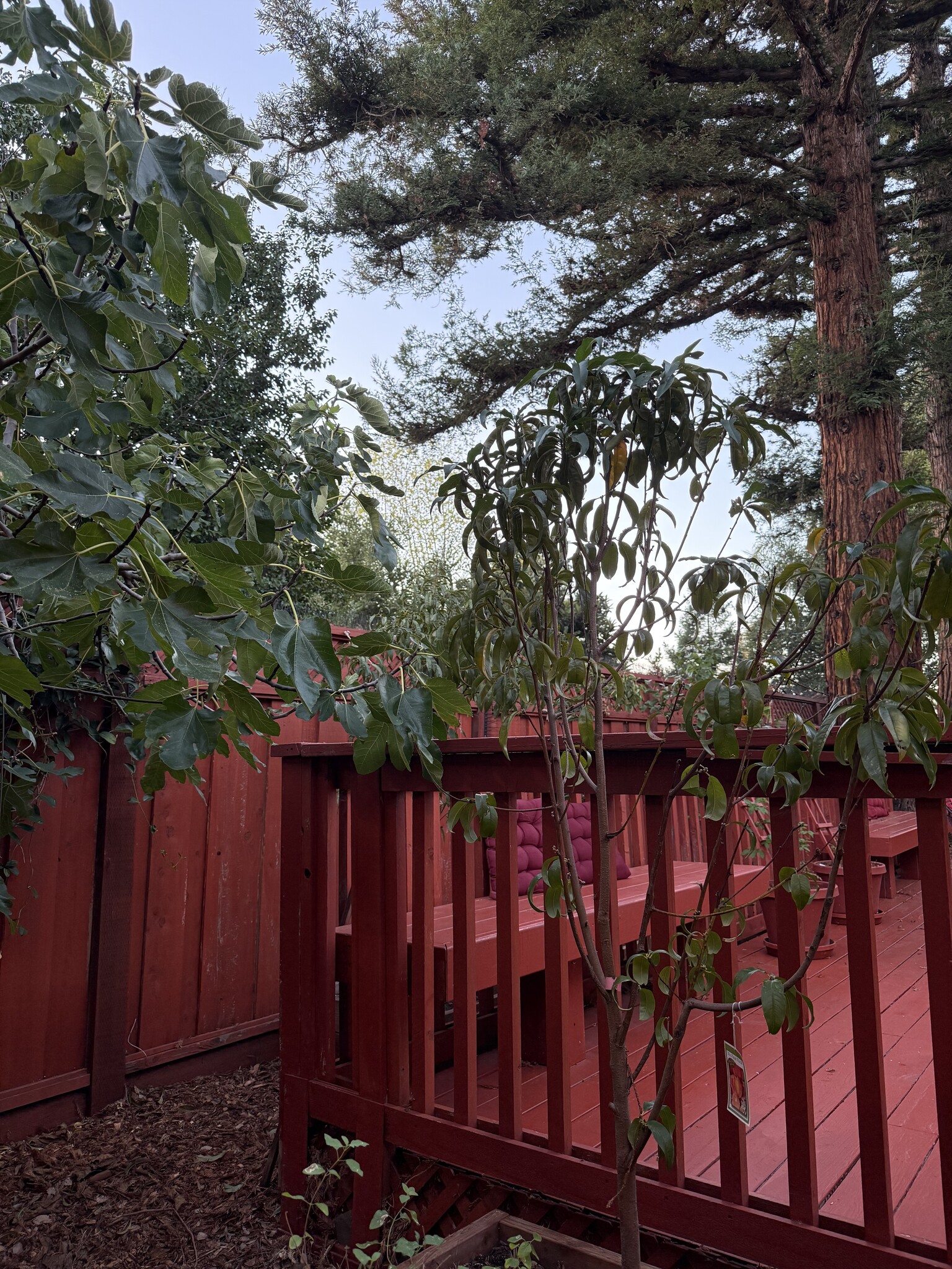 Building Photo - 312 Crest Dr