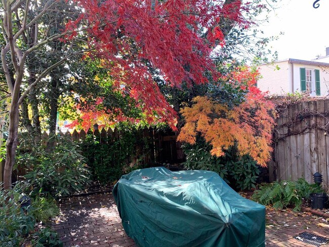 Building Photo - Rare Georgetown Townouse with private yard - 1 block from Rose Park / M St