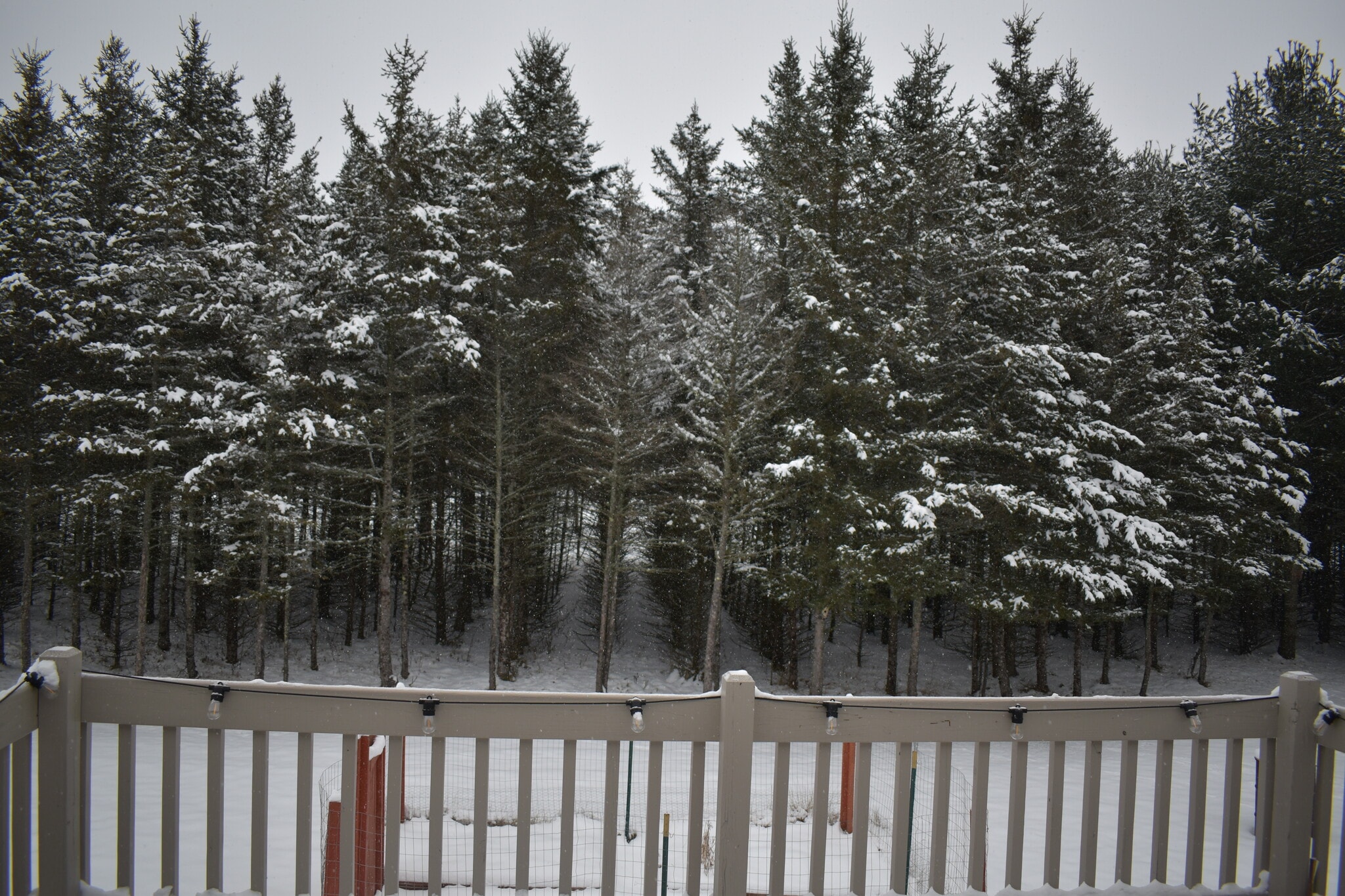 Building Photo - 6587 Rolling Hills Dr