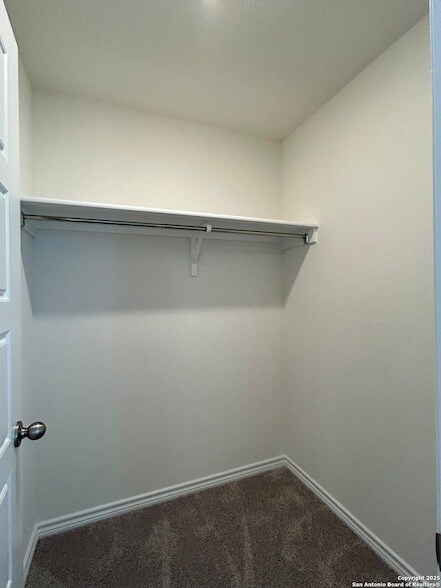 Building Photo - 11806 Black Rose