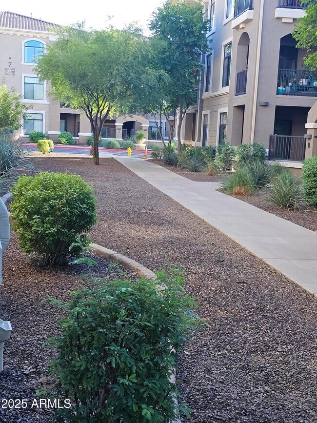 Building Photo - 11640 N Tatum Blvd