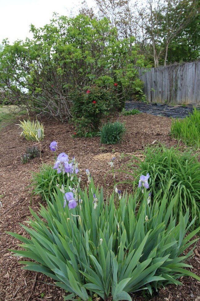 Building Photo - West AVL  - Mountain Views, Garden Space, Beautiful Yard!
