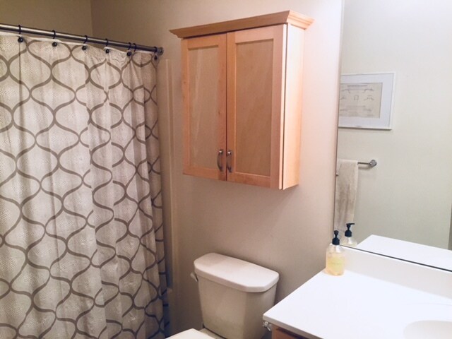 3rd floor bathroom - 602 Petersburg Rd