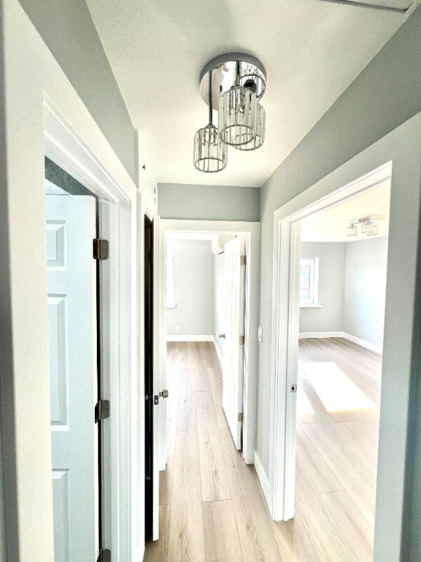 Building Photo - 61-60 69th Ln