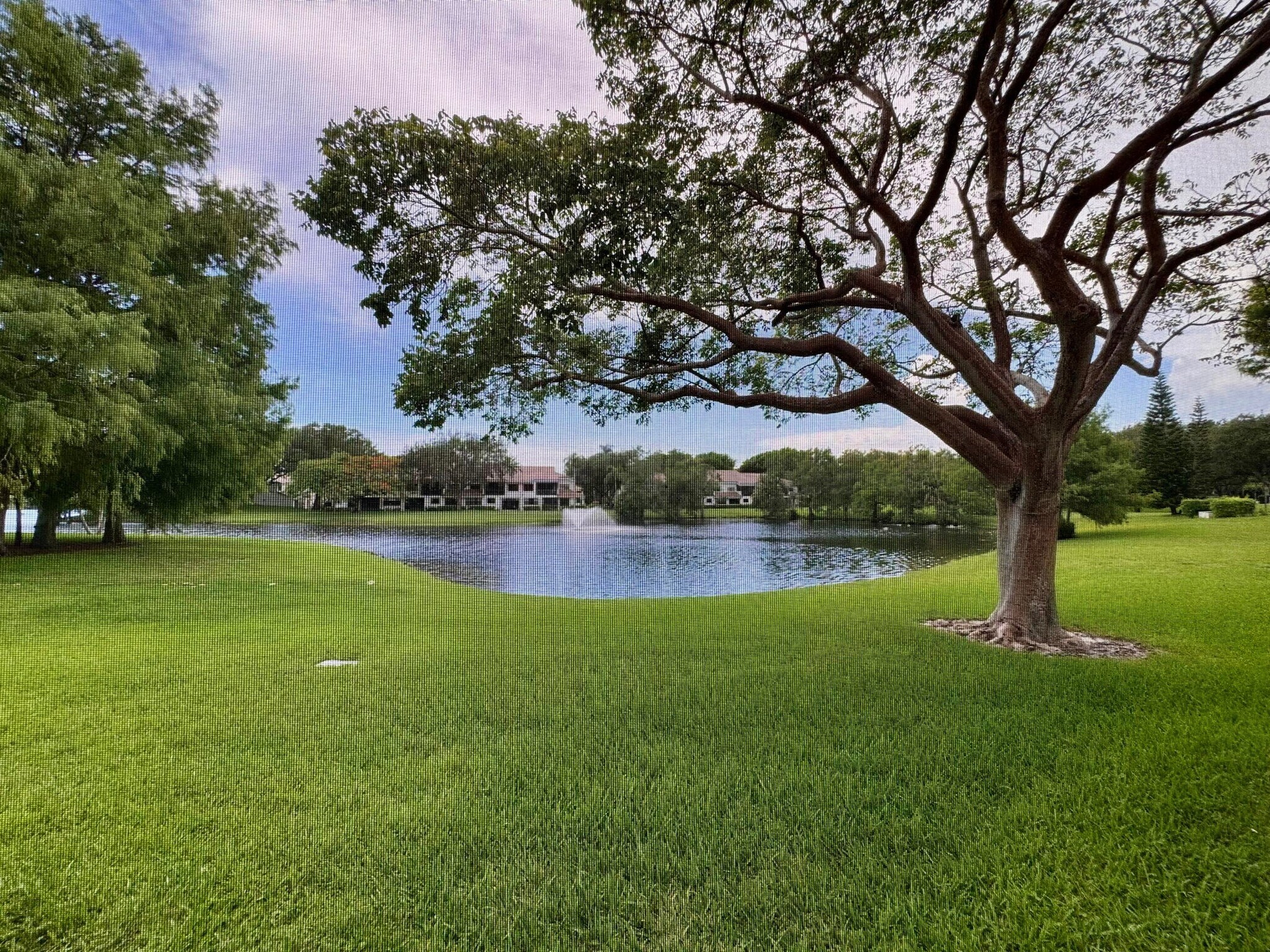 Building Photo - 2636 Mango Creek Ln