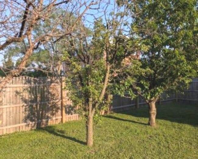 Building Photo - 21W185 Tee Ln