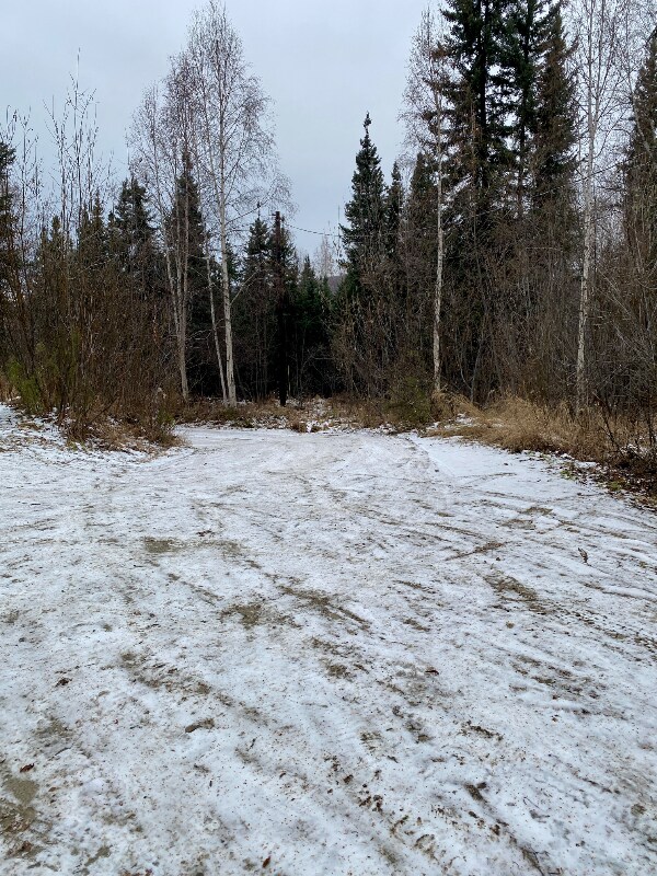 Building Photo - 305 Sarah St