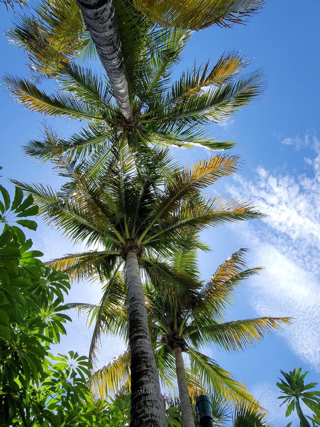 Building Photo - 5855 22nd St