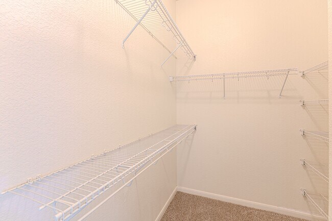 Building Photo - 6526 Bella Noche Dr