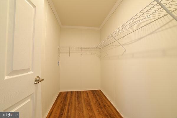 Building Photo - 17 Edgewater Dr