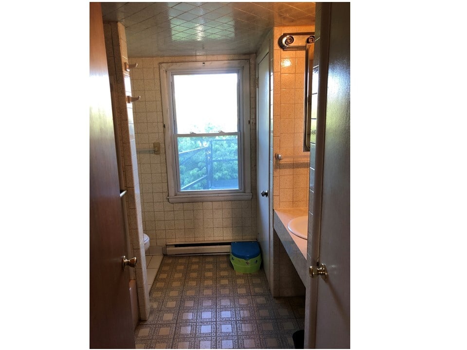 bathroom window out to rear and fire escaape - 419 N 2nd St