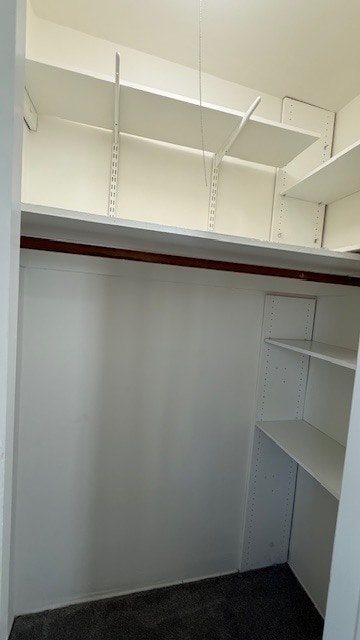 Secondary Closet - 530 N Sycamore Ave