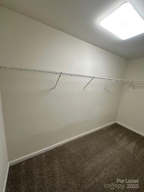 Building Photo - 4001 Christine Ln