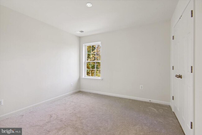 Building Photo - 203 Williamson Rd