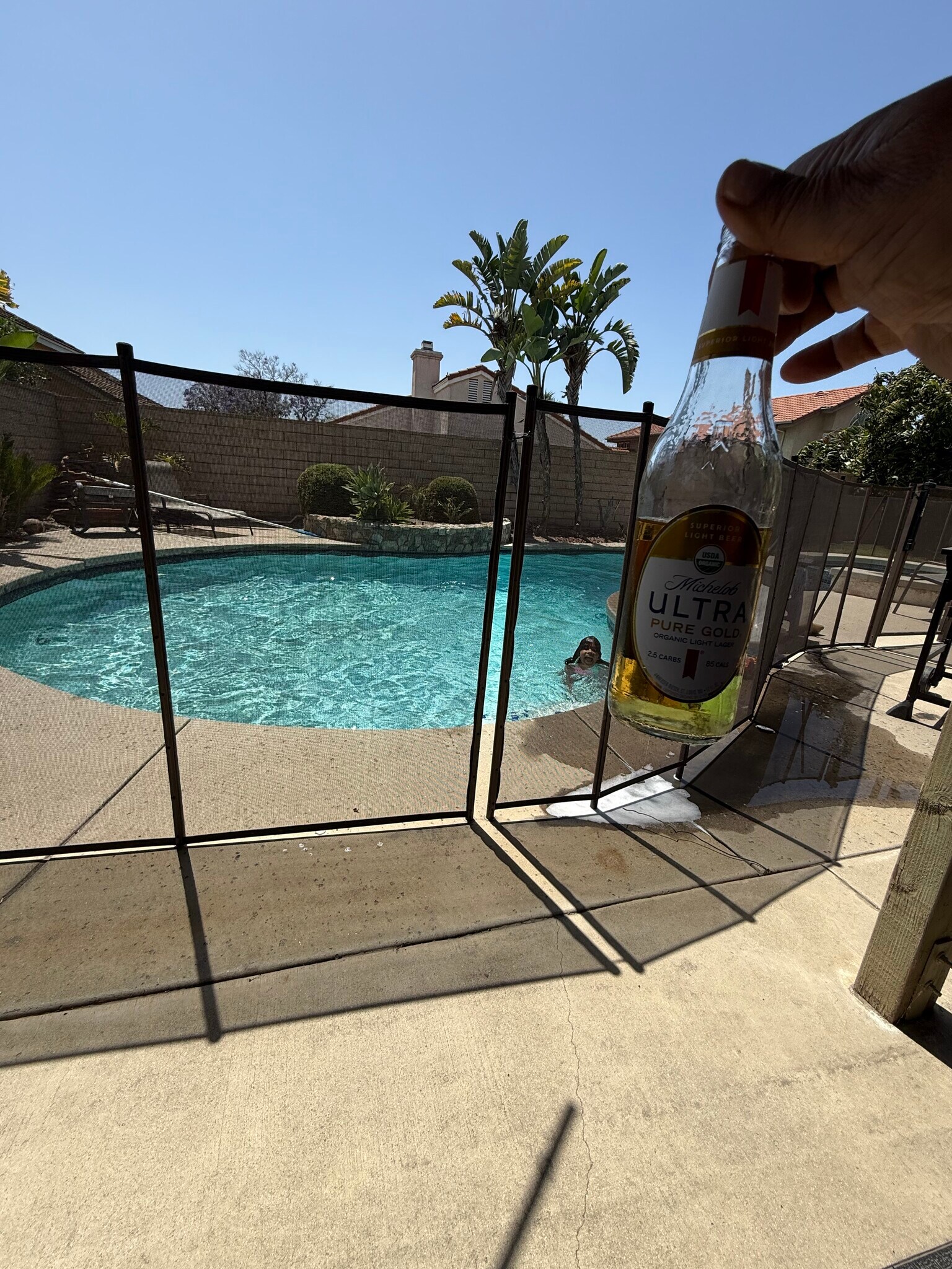 Gated pool - 12376 Tioga Ct