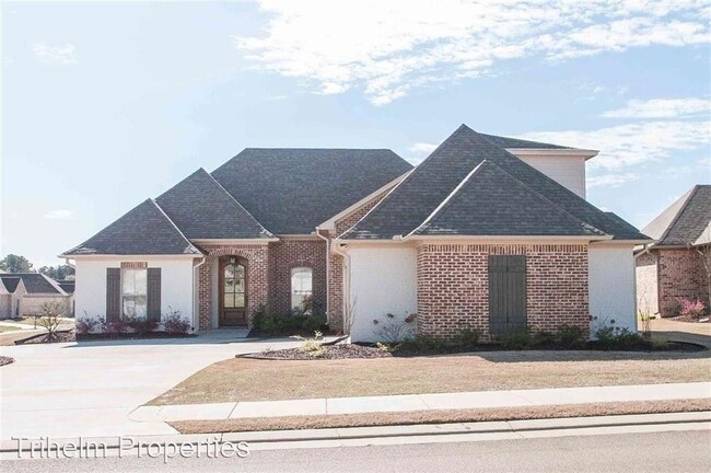 Primary Photo - 4 br, 3 bath House - 901 Abundance Xing